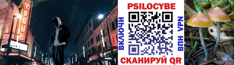 shop наркотические препараты  Городище  Галлюциногенные грибы Cubensis  гидра как зайти 